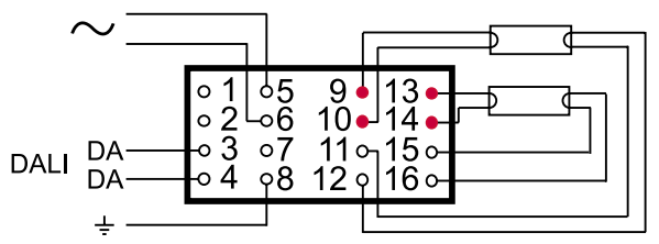 20009007