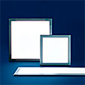 Tridonic OLED