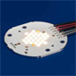 TalexxModule SPOT
